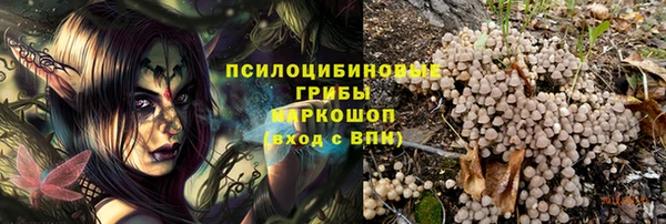 хмурый Алексеевка