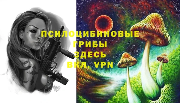 СК Алексин
