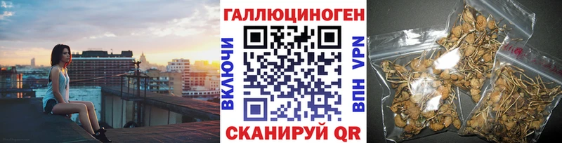 Псилоцибиновые грибы GOLDEN TEACHER  продажа наркотиков  Пущино 